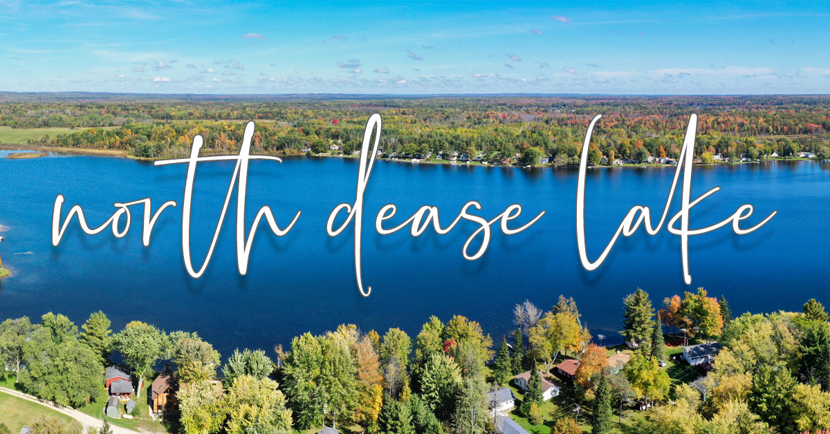 North Dease Lake Dyer Drone